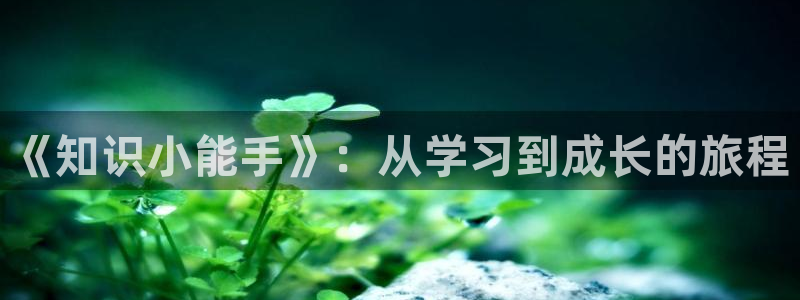 知轩藏书 下载：《知识小能手》：从学习到成长的旅程