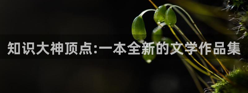知轩藏书网址：知识大神顶点:一本全新的文学作品集